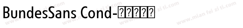 BundesSans Cond字体转换